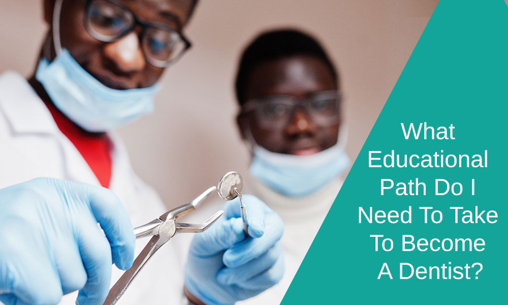 What educational path do I need to take to become a dentist?